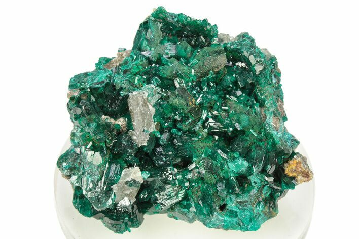 Lustrous Dioptase Crystals with Cerussite - Republic of the Congo #266293